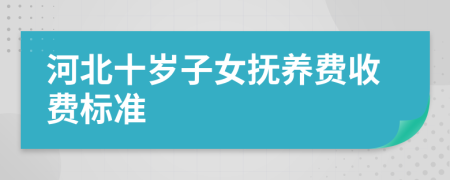 河北十岁子女抚养费收费标准
