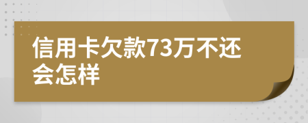 信用卡欠款73万不还会怎样