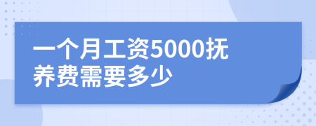 一个月工资5000抚养费需要多少