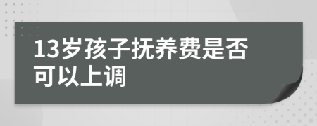 13岁孩子抚养费是否可以上调