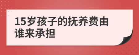 15岁孩子的抚养费由谁来承担