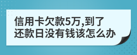 信用卡欠款5万,到了还款日没有钱该怎么办