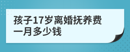 孩子17岁离婚抚养费一月多少钱