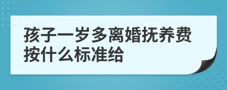 孩子一岁多离婚抚养费按什么标准给