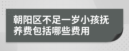 朝阳区不足一岁小孩抚养费包括哪些费用