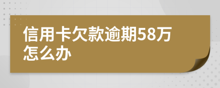 信用卡欠款逾期58万怎么办