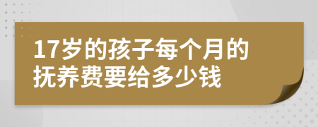 17岁的孩子每个月的抚养费要给多少钱