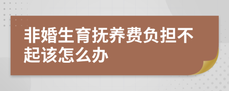 非婚生育抚养费负担不起该怎么办