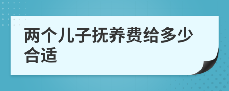 两个儿子抚养费给多少合适