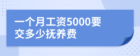 一个月工资5000要交多少抚养费