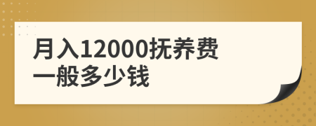 月入12000抚养费一般多少钱