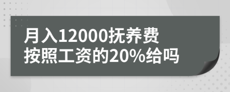 月入12000抚养费按照工资的20%给吗