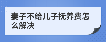 妻子不给儿子抚养费怎么解决