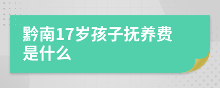 黔南17岁孩子抚养费是什么