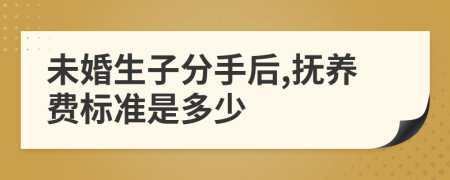 未婚生子分手后,抚养费标准是多少