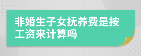 非婚生子女抚养费是按工资来计算吗