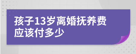 孩子13岁离婚抚养费应该付多少