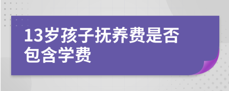 13岁孩子抚养费是否包含学费