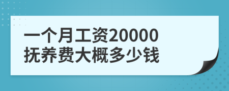 一个月工资20000抚养费大概多少钱