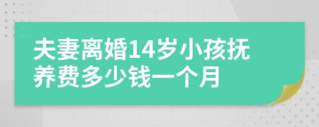 夫妻离婚14岁小孩抚养费多少钱一个月