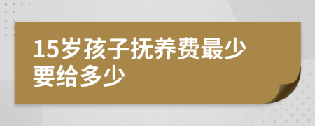 15岁孩子抚养费最少要给多少