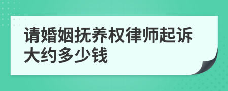 请婚姻抚养权律师起诉大约多少钱