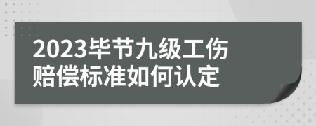 2023毕节九级工伤赔偿标准如何认定