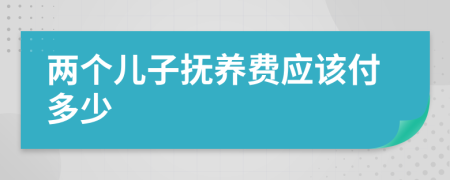 两个儿子抚养费应该付多少