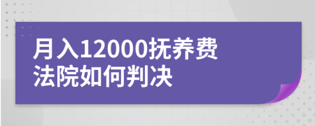 月入12000抚养费法院如何判决