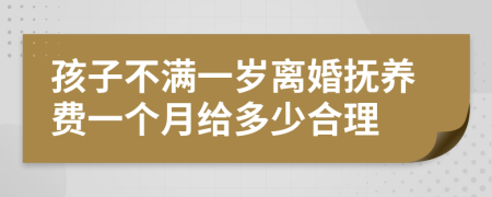 孩子不满一岁离婚抚养费一个月给多少合理