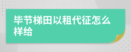毕节梯田以租代征怎么样给