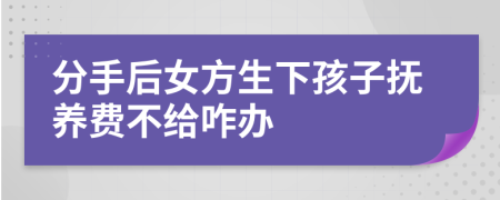 分手后女方生下孩子抚养费不给咋办