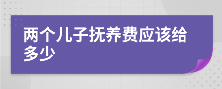 两个儿子抚养费应该给多少