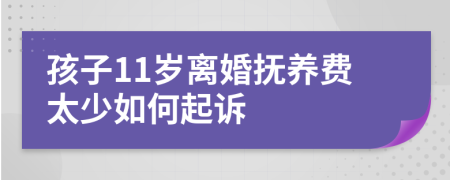 孩子11岁离婚抚养费太少如何起诉