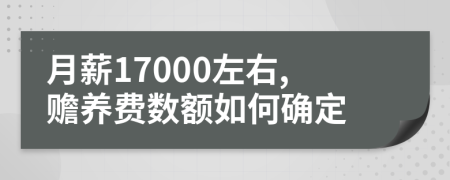 月薪17000左右,赡养费数额如何确定