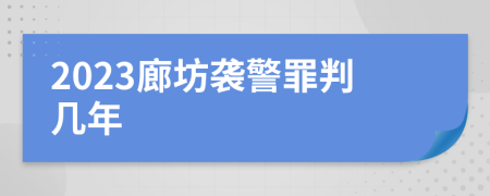 2023廊坊袭警罪判几年