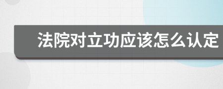 法院对立功应该怎么认定