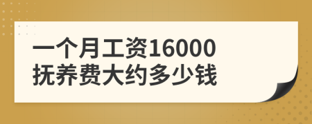 一个月工资16000抚养费大约多少钱