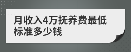 月收入4万抚养费最低标准多少钱