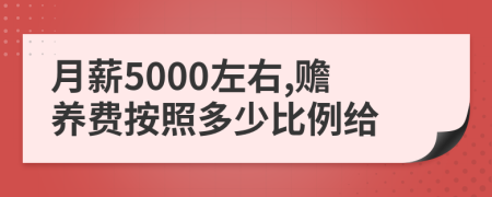 月薪5000左右,赡养费按照多少比例给