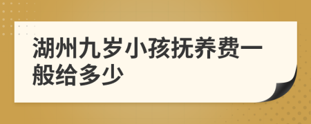 湖州九岁小孩抚养费一般给多少