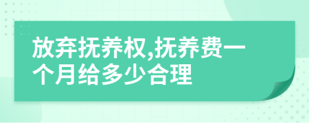 放弃抚养权,抚养费一个月给多少合理