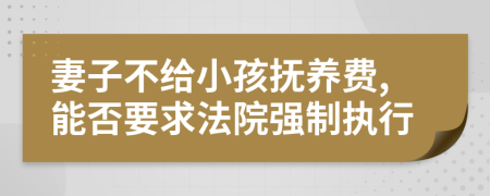 妻子不给小孩抚养费,能否要求法院强制执行
