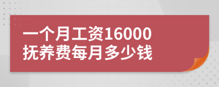 一个月工资16000抚养费每月多少钱