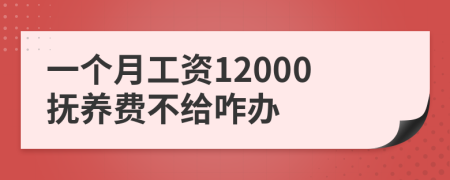 一个月工资12000抚养费不给咋办