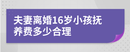 夫妻离婚16岁小孩抚养费多少合理