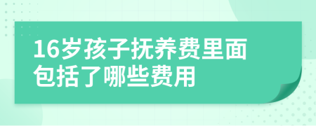 16岁孩子抚养费里面包括了哪些费用