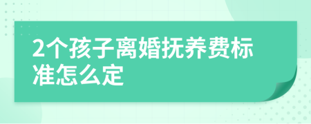 2个孩子离婚抚养费标准怎么定