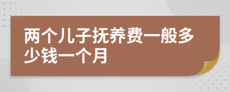 两个儿子抚养费一般多少钱一个月