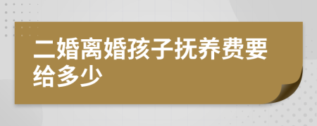 二婚离婚孩子抚养费要给多少